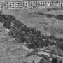 cadaveres_cementerio.jpg