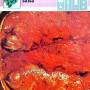 dorada_en_salsa_01.jpg